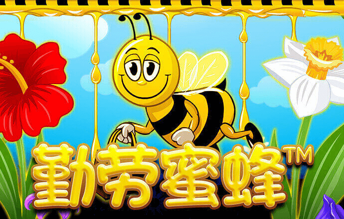 88vip棋牌官网
